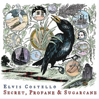 Secret, Profane and Sugarcane